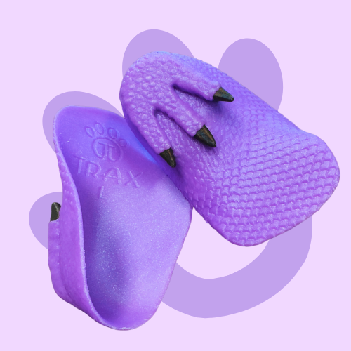 Purple Dinosaur Trax