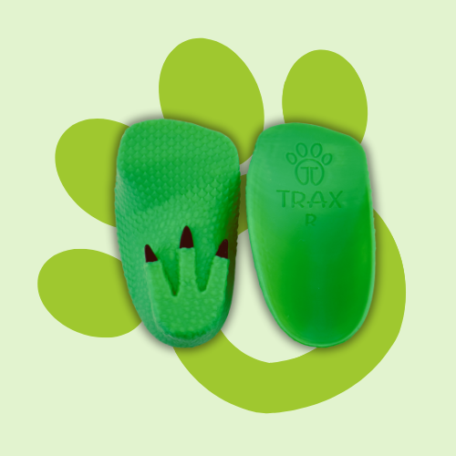 Dinosaur Trax