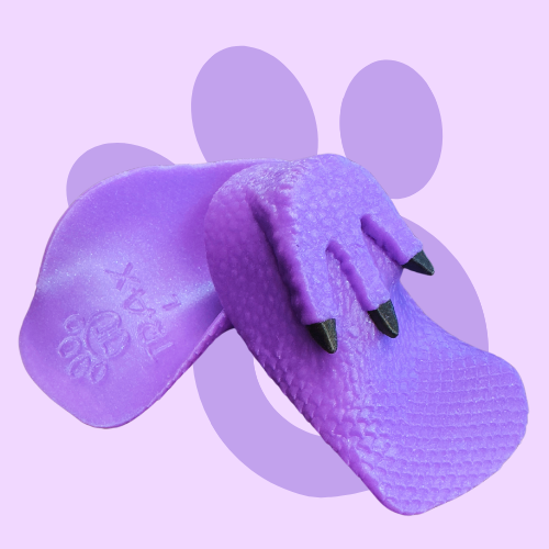 Purple Dinosaur Trax