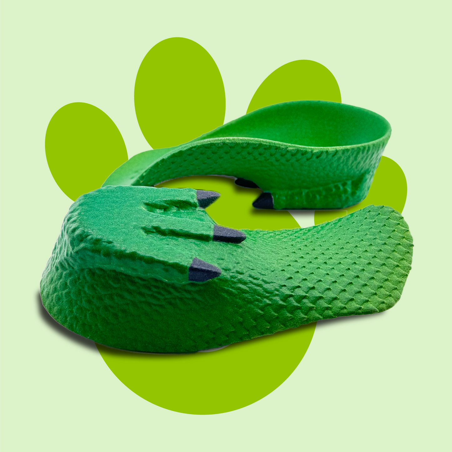 Dinosaur Trax