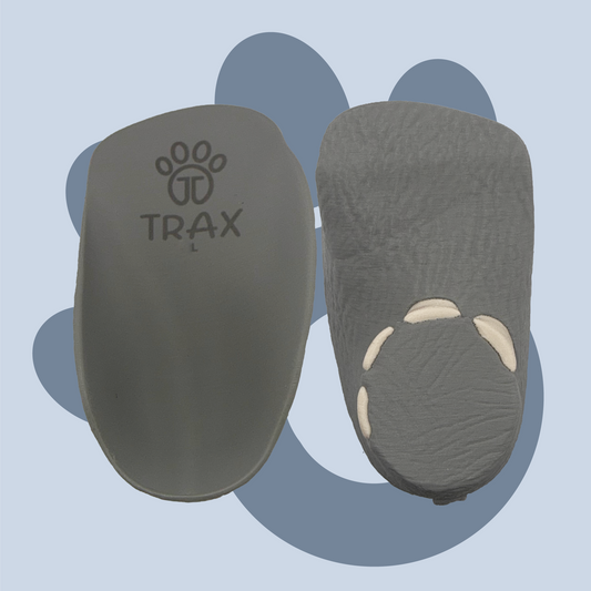 Elephant Trax