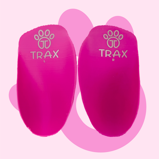 Flamingo Trax