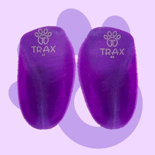 Purple Dinosaur Trax