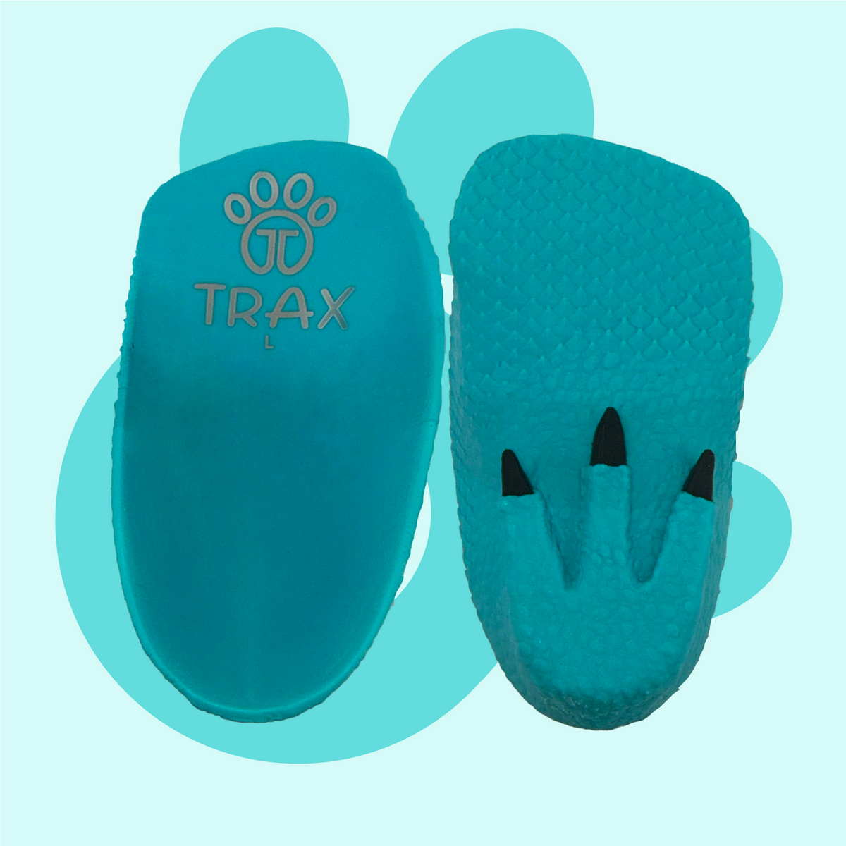 Teal Dinosaur Trax