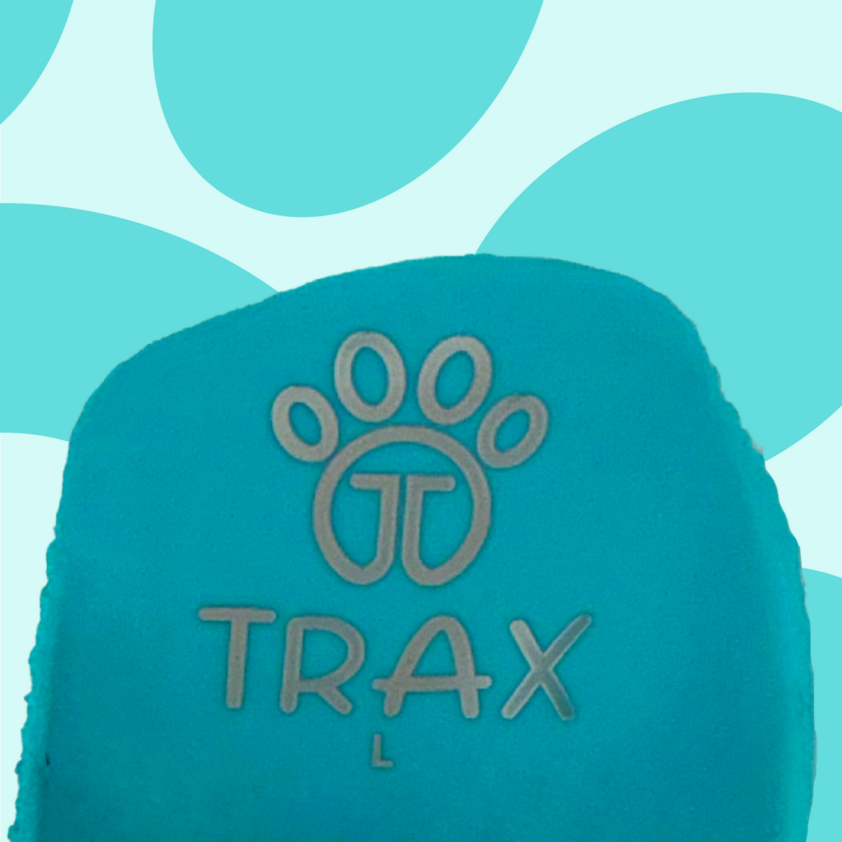 Teal Dinosaur Trax